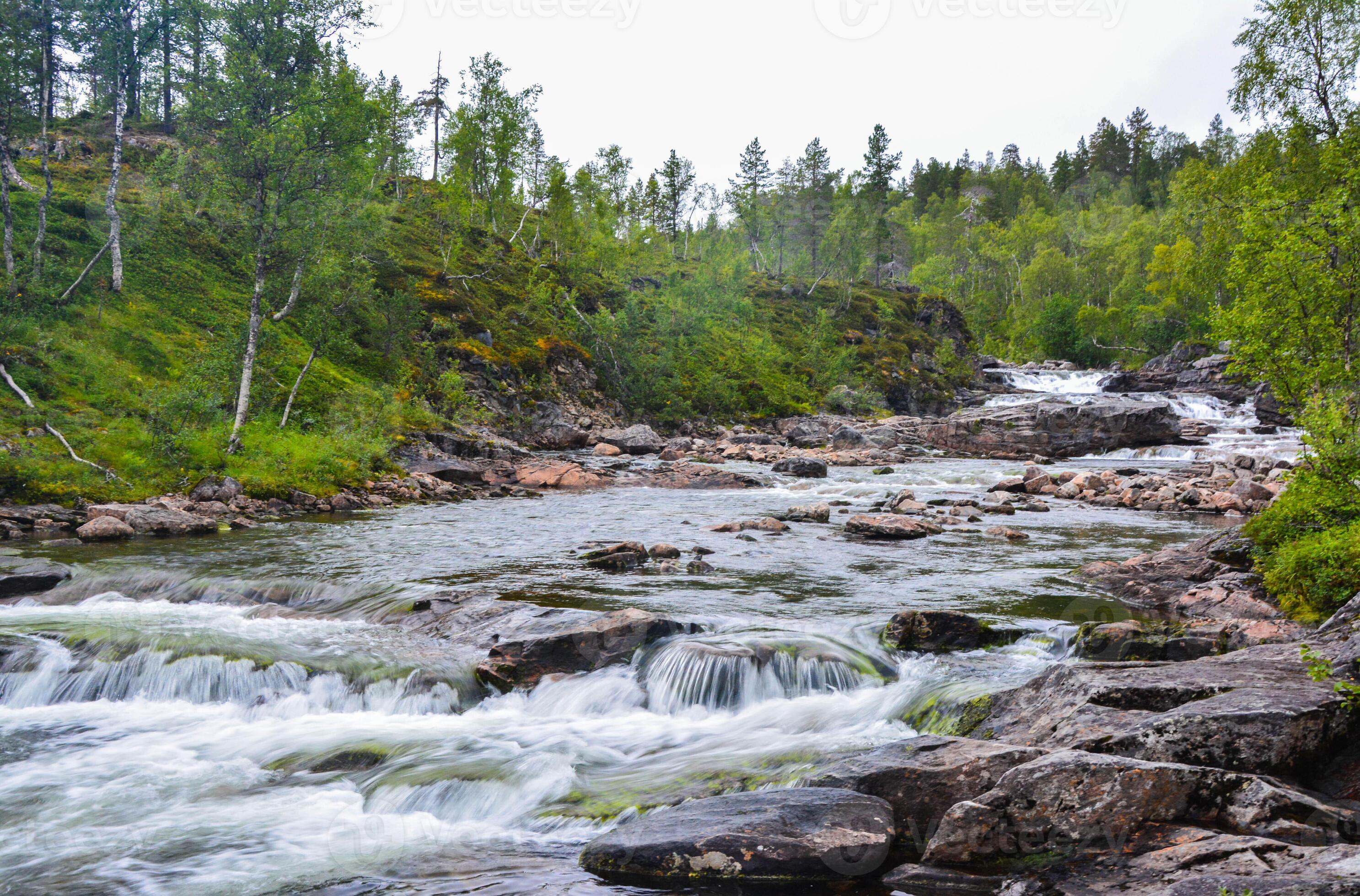 A river deep in the forests of Norway.